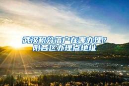 武汉积分落户在哪办理？附各区办理点地址