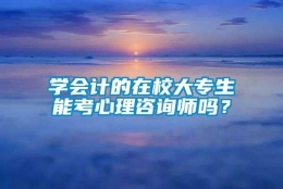 学会计的在校大专生能考心理咨询师吗？