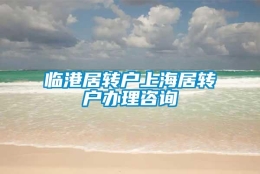 临港居转户上海居转户办理咨询