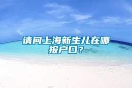 请问上海新生儿在哪报户口？