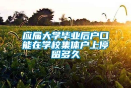 应届大学毕业后户口能在学校集体户上停留多久