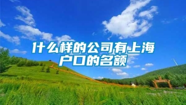 什么样的公司有上海户口的名额