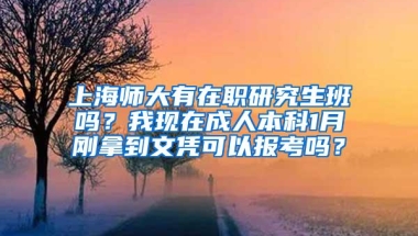 上海师大有在职研究生班吗？我现在成人本科1月刚拿到文凭可以报考吗？