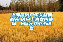 上海居转户相关疑问解答,落户上海案例集锦 上海人才中心通道