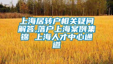 上海居转户相关疑问解答,落户上海案例集锦 上海人才中心通道