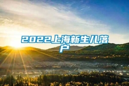 2022上海新生儿落户