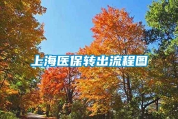 上海医保转出流程图