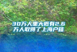 30万人里大概有2.6万人取得了上海户籍