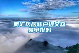 南汇区居转户提交容易审批吗