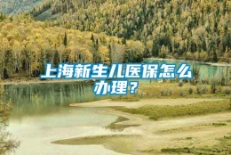 上海新生儿医保怎么办理？