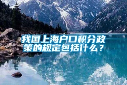 我国上海户口积分政策的规定包括什么？