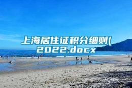 上海居住证积分细则(2022.docx