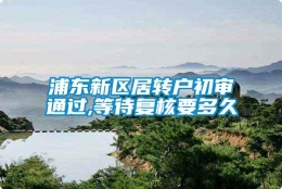 浦东新区居转户初审通过,等待复核要多久