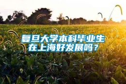 复旦大学本科毕业生在上海好发展吗？