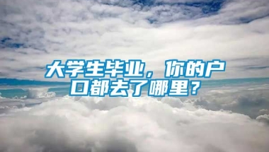 大学生毕业，你的户口都去了哪里？