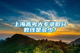 上海高考大专录取分数线是多少？