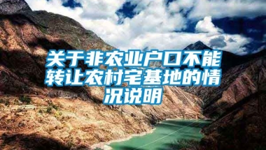 关于非农业户口不能转让农村宅基地的情况说明