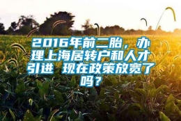 2016年前二胎，办理上海居转户和人才引进 现在政策放宽了吗？