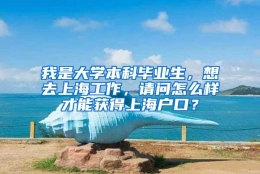 我是大学本科毕业生，想去上海工作，请问怎么样才能获得上海户口？