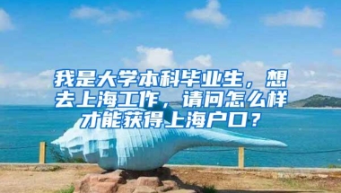 我是大学本科毕业生，想去上海工作，请问怎么样才能获得上海户口？