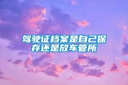 驾驶证档案是自己保存还是放车管所