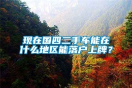 现在国四二手车能在什么地区能落户上牌？