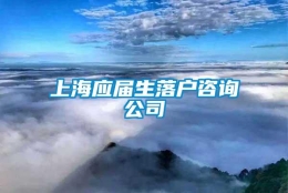 上海应届生落户咨询公司