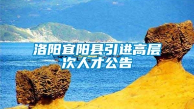 洛阳宜阳县引进高层次人才公告