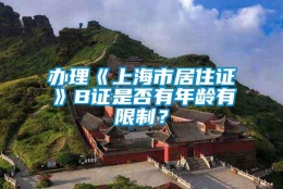 办理《上海市居住证》B证是否有年龄有限制？