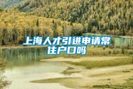 上海人才引进申请常住户口吗