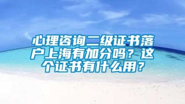 心理咨询二级证书落户上海有加分吗？这个证书有什么用？