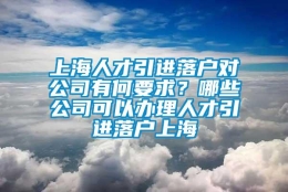 上海人才引进落户对公司有何要求？哪些公司可以办理人才引进落户上海