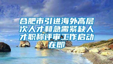 合肥市引进海外高层次人才和急需紧缺人才职称评审工作启动在即