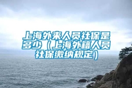 上海外来人员社保是多少（上海外籍人员社保缴纳规定）