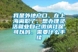 我是外地户口、在上海离职了、想办理灵活就业自己缴纳社保、可以吗、需要什么手续