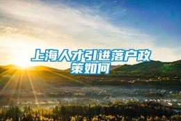 上海人才引进落户政策如何