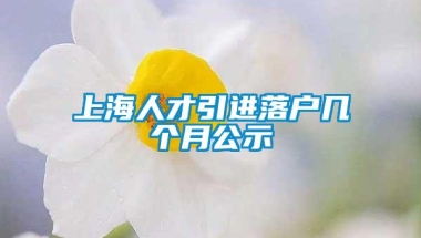 上海人才引进落户几个月公示