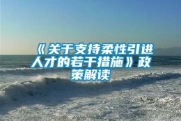 《关于支持柔性引进人才的若干措施》政策解读