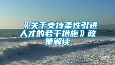 《关于支持柔性引进人才的若干措施》政策解读