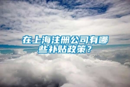 在上海注册公司有哪些补贴政策？