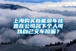 上海购买新能源车挂靠在公司名下个人可以自己交车险嘛？