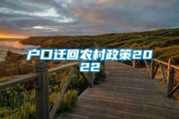 户口迁回农村政策2022