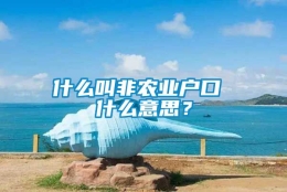 什么叫非农业户口 什么意思？