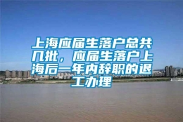 上海应届生落户总共几批，应届生落户上海后一年内辞职的退工办理