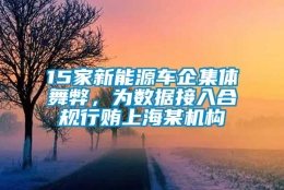 15家新能源车企集体舞弊，为数据接入合规行贿上海某机构