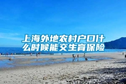 上海外地农村户口什么时候能交生育保险