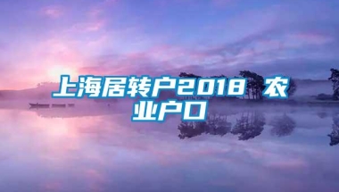 上海居转户2018 农业户口