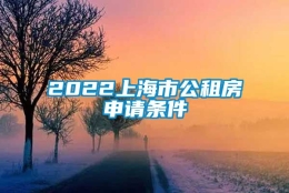 2022上海市公租房申请条件