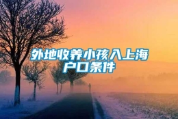 外地收养小孩入上海户口条件