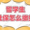 留学生回国缴纳社保即可落户？上海落户这么简单？